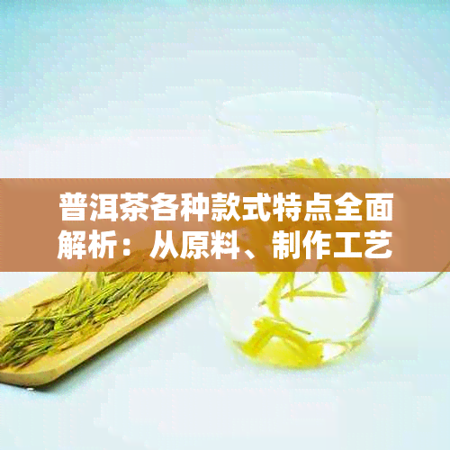 普洱茶各种款式特点全面解析：从原料、制作工艺到品饮体验的全方位探讨