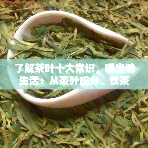 了解茶叶十大常识，喝出健生活：从茶叶成分、饮茶时间到品鉴方法全解析