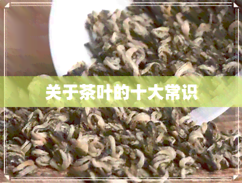 关于茶叶的十大常识