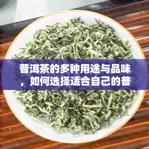 普洱茶的多种用途与品味，如何选择适合自己的普洱茶？