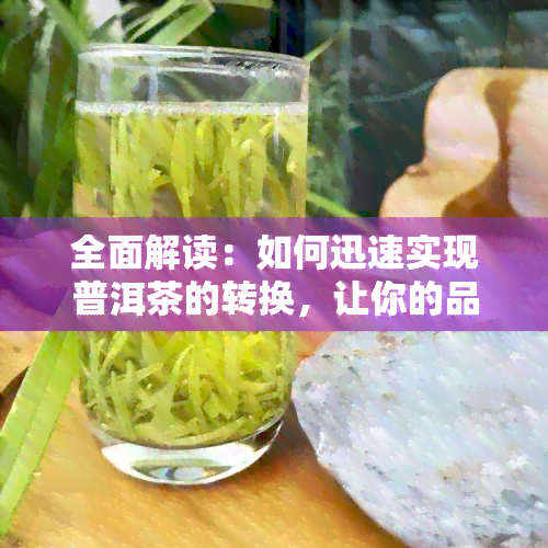 全面解读：如何迅速实现普洱茶的转换，让你的品饮体验更上一层楼