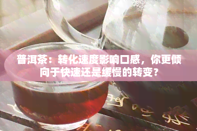 普洱茶：转化速度影响口感，你更倾向于快速还是缓慢的转变？