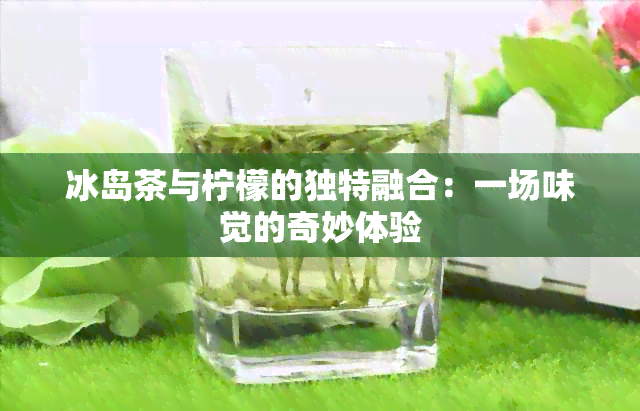 冰岛茶与柠檬的独特融合：一场味觉的奇妙体验