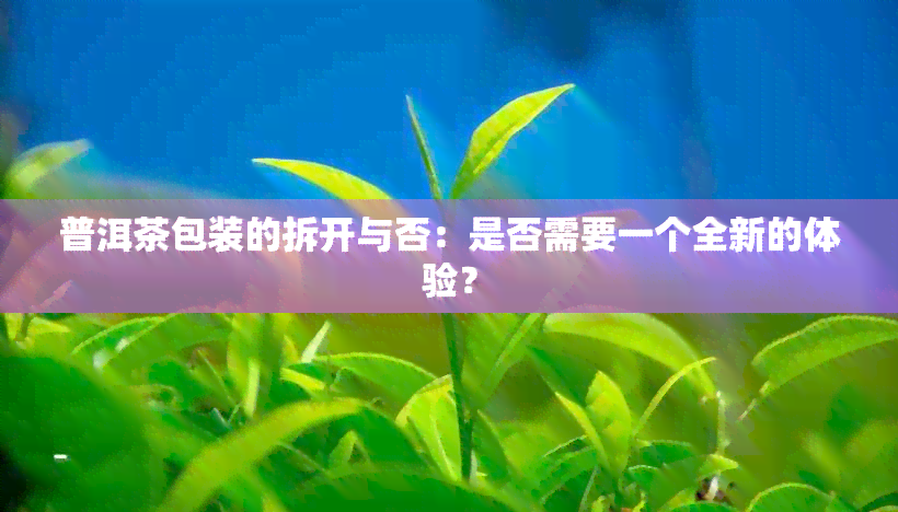 普洱茶包装的拆开与否：是否需要一个全新的体验？