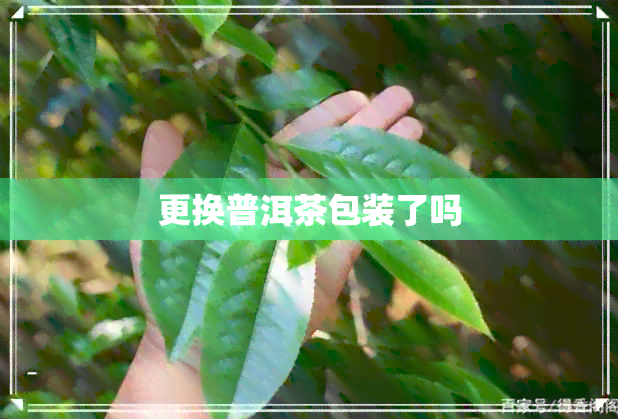 更换普洱茶包装了吗