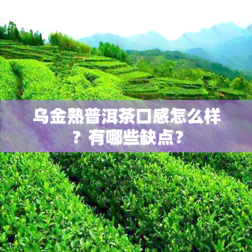 乌金熟普洱茶口感怎么样？有哪些缺点？