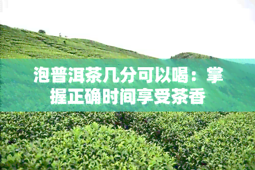 泡普洱茶几分可以喝：掌握正确时间享受茶香