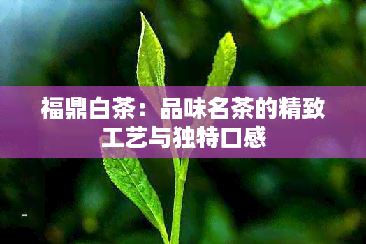 福鼎白茶：品味名茶的精致工艺与独特口感