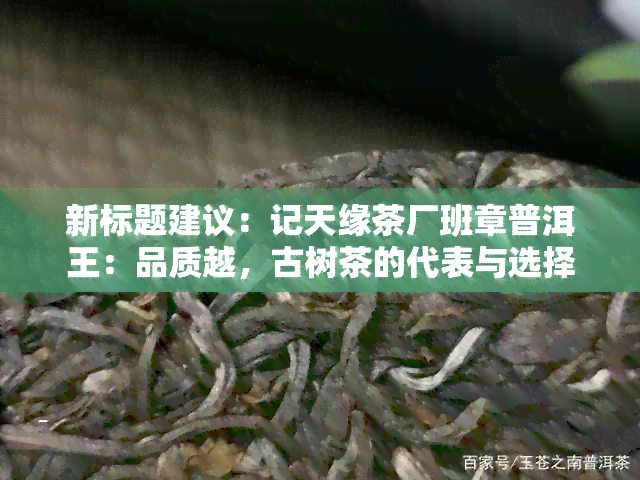 新标题建议：记天缘茶厂班章普洱王：品质越，古树茶的代表与选择