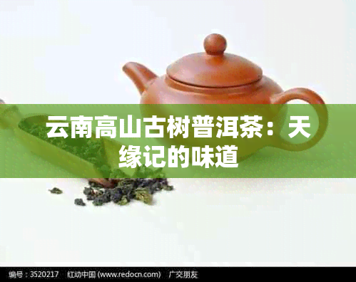 云南高山古树普洱茶：天缘记的味道