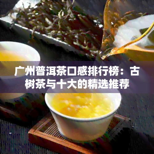 广州普洱茶口感排行榜：古树茶与十大的精选推荐