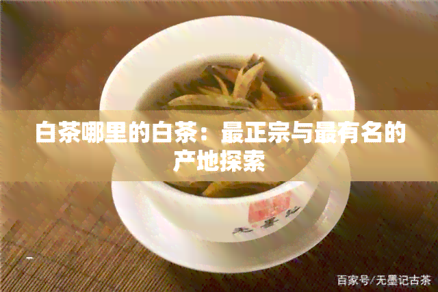 白茶哪里的白茶：最正宗与最有名的产地探索