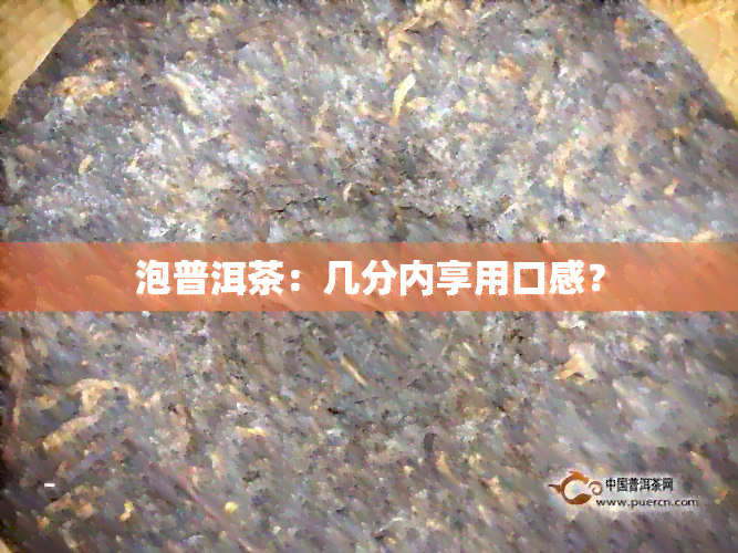 泡普洱茶：几分内享用口感？