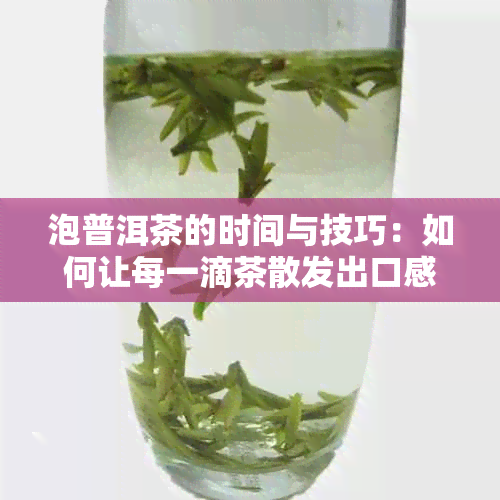 泡普洱茶的时间与技巧：如何让每一滴茶散发出口感？