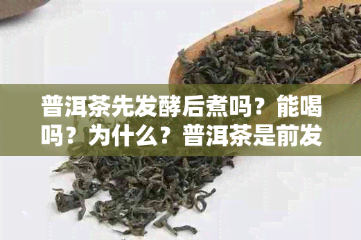 普洱茶先发酵后煮吗？能喝吗？为什么？普洱茶是前发酵还是后发酵好？