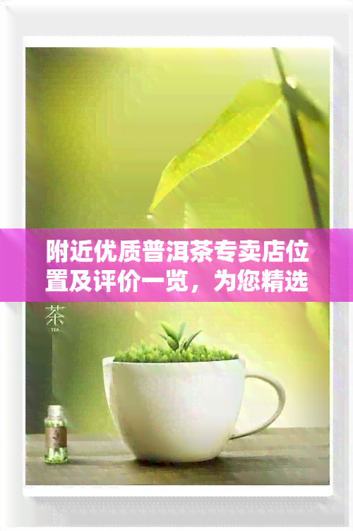 附近优质普洱茶专卖店位置及评价一览，为您精选正品茶叶与专业服务