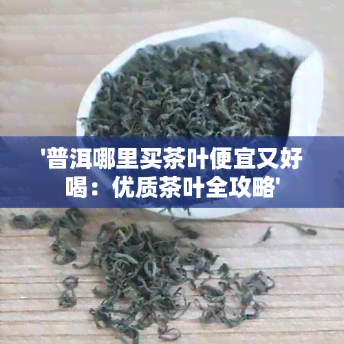 '普洱哪里买茶叶便宜又好喝：优质茶叶全攻略'