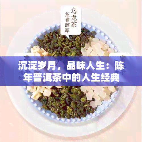 沉淀岁月，品味人生：陈年普洱茶中的人生经典