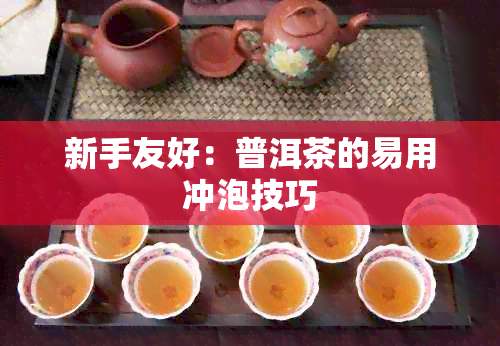 新手友好：普洱茶的易用冲泡技巧