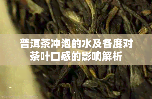 普洱茶冲泡的水及各度对茶叶口感的影响解析