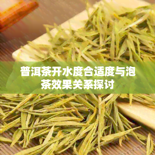 普洱茶开水度合适度与泡茶效果关系探讨