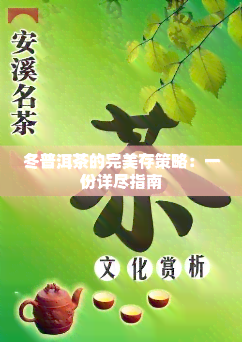 冬普洱茶的完美存策略：一份详尽指南