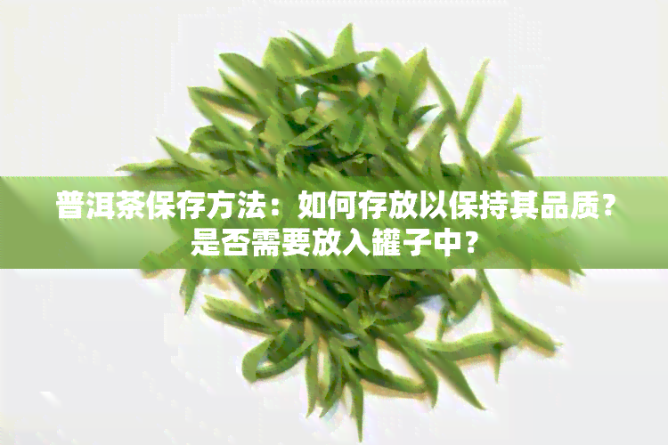 普洱茶保存方法：如何存放以保持其品质？是否需要放入罐子中？