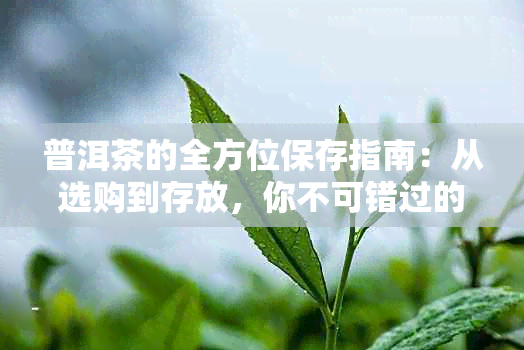 普洱茶的全方位保存指南：从选购到存放，你不可错过的经验