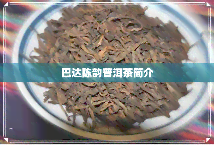 巴达陈韵普洱茶简介