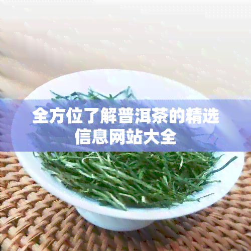 全方位了解普洱茶的精选信息网站大全