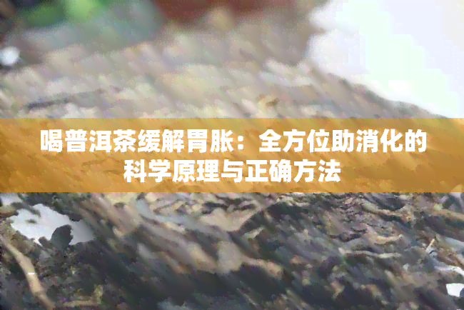 喝普洱茶缓解胃胀：全方位助消化的科学原理与正确方法