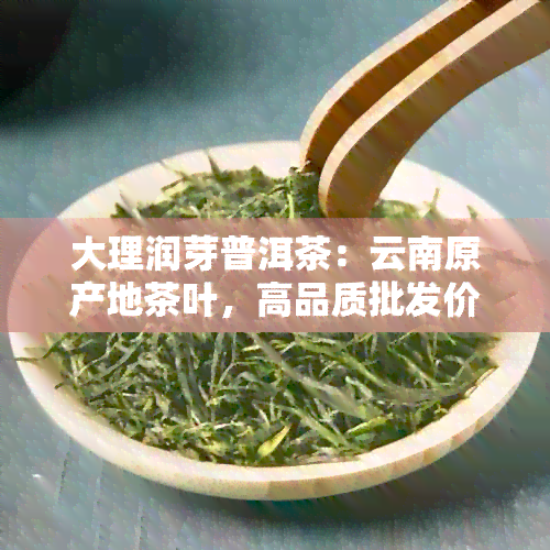 大理润芽普洱茶：云南原产地茶叶，高品质批发价格与龙润茶同步