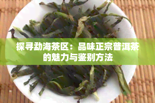 探寻勐海茶区：品味正宗普洱茶的魅力与鉴别方法