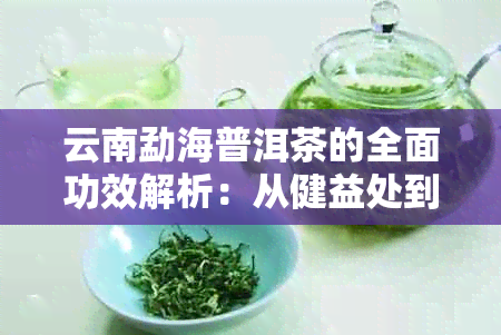 云南勐海普洱茶的全面功效解析：从健益处到饮用方法一应俱全！