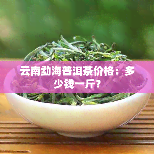 云南勐海普洱茶价格：多少钱一斤？