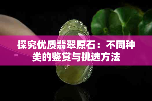 探究优质翡翠原石：不同种类的鉴赏与挑选方法