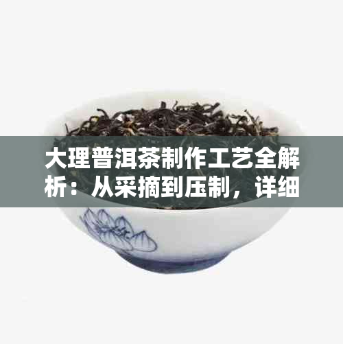 大理普洱茶制作工艺全解析：从采摘到压制，详细步骤一网打尽！