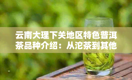 云南大理下关地区特色普洱茶品种介绍：从沱茶到其他不容错过的茶品