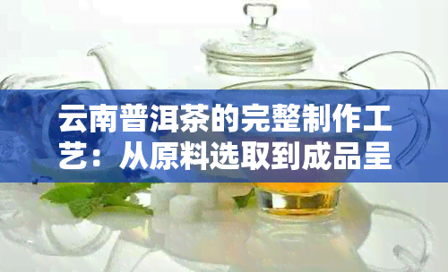 云南普洱茶的完整制作工艺：从原料选取到成品呈现