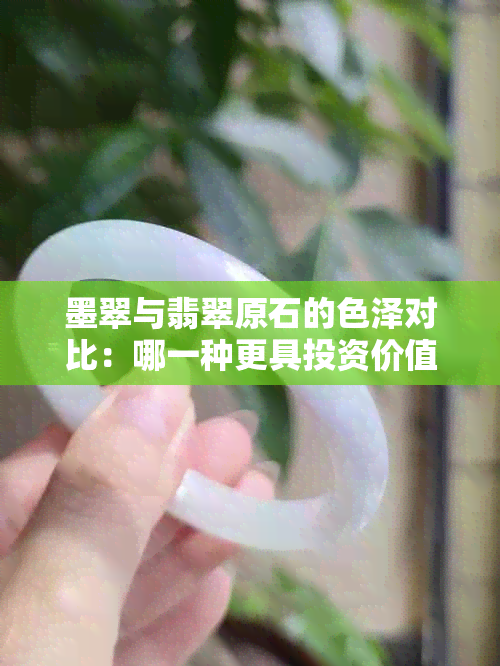 墨翠与翡翠原石的色泽对比：哪一种更具投资价值？