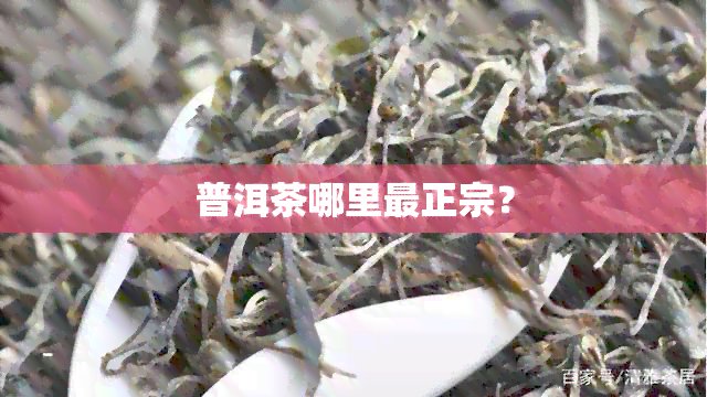 普洱茶哪里最正宗？