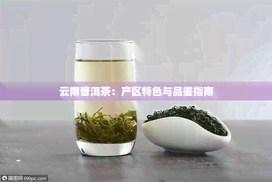 云南普洱茶：产区特色与品鉴指南