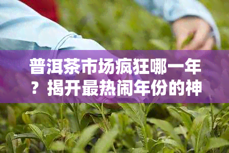 普洱茶市场疯狂哪一年？揭开最热闹年份的神秘面纱