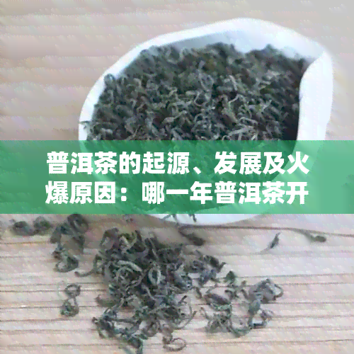 普洱茶的起源、发展及火爆原因：哪一年普洱茶开始受到广泛关注？