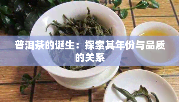 普洱茶的诞生：探索其年份与品质的关系