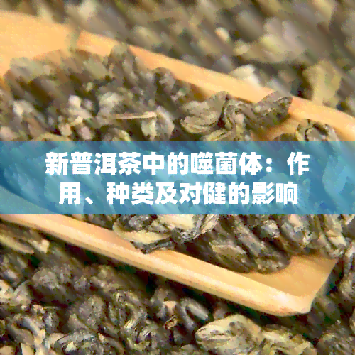 新普洱茶中的噬菌体：作用、种类及对健的影响