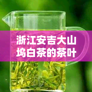 浙江安吉大山坞白茶的茶叶价格及信息