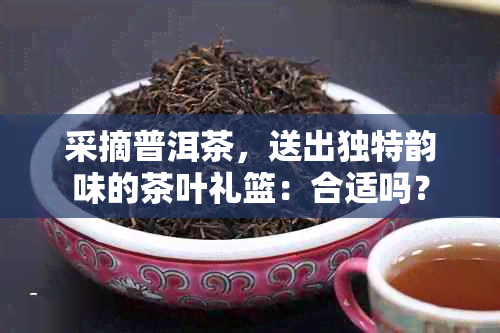 采摘普洱茶，送出独特韵味的茶叶礼篮：合适吗？