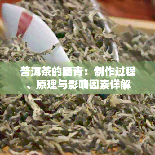 普洱茶的晒青：制作过程、原理与影响因素详解