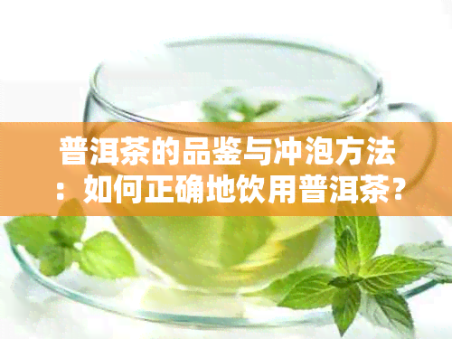 普洱茶的品鉴与冲泡方法：如何正确地饮用普洱茶？